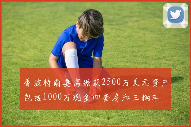 香波特前妻离婚获2500万美元资产包括1000万现金四套房和三辆车